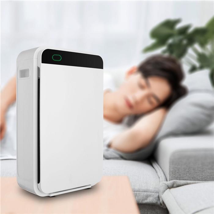 Portable Large Air Purifier