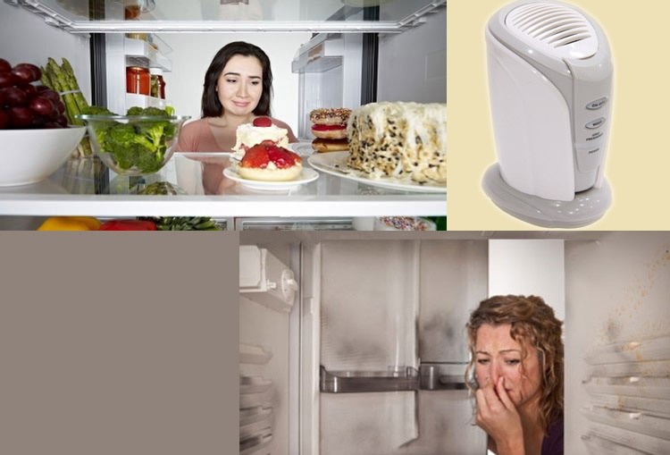 Fridge Air Purifier Cleaner