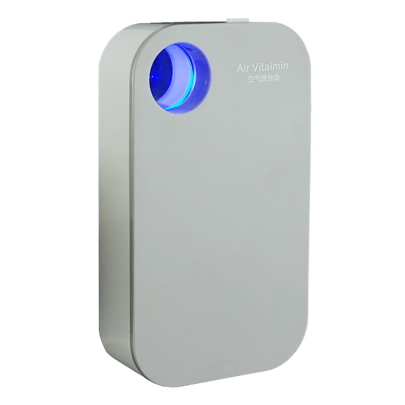 Dual-Purpose Air Purifier Ionizer